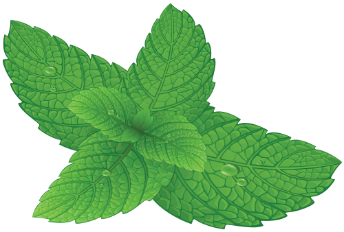 mint-leaves